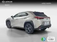 Usado Lexus UX Business Edition 183 CV (134 kW) 2022 Gris SUV