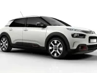 Usado Citroën C4 Cactus Live 110 CV (80 kW) 2019 Gris Utilitario