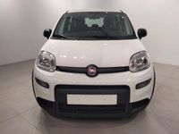 usado Fiat Panda 1.0 Gse City Live Hybrid