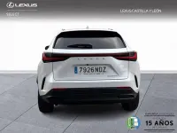 Usado Lexus NX450h+ 292 CV (214 kW) 2025 Blanco SUV