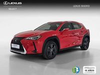 Usado Lexus UX 250h Business Edition 185 CV (136 kW) 2022 Rojo SUV
