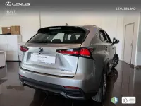 Usado Lexus NX300h Business Edition 197 CV (144 kW) 2019 Plateado SUV