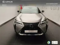 Usado Lexus UX Business Edition 184 CV (135 kW) 2019 Otro SUV