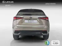 Usado Lexus NX300h Business Edition 197 CV (144 kW) 2018 Plateado SUV
