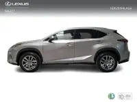 Usado Lexus NX300h Executive Line 197 CV (144 kW) 2018 Gris / plata SUV