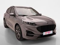Usado Ford Kuga ST-Line 150 CV (110 kW) 2022 Gris / plata SUV