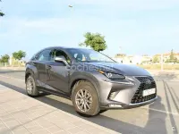 Usado Lexus NX300h Business Edition 197 CV (144 kW) 2019 Gris / plata SUV
