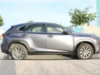 Usado Lexus NX300h Business Edition 197 CV (144 kW) 2019 Gris / plata SUV
