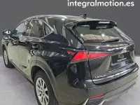 Usado Lexus NX300h Business Edition 197 CV (144 kW) 2020 Negro SUV