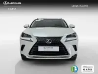 Usado Lexus NX300h Business Edition 197 CV (144 kW) 2018 Blanco SUV