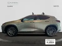 Nuevo Lexus NX450h+ 292 CV (214 kW) 2026 Gris SUV
