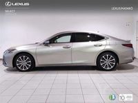 usado Lexus ES300 300h Business