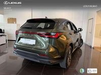 Usado Lexus NX450h+ 306 CV (225 kW) 2025 Verde SUV
