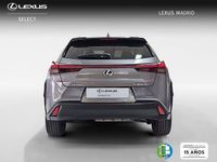 Usado Lexus UX Business Edition 184 CV (135 kW) 2022 Gris SUV