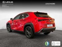 Imagen 2