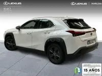 Usado Lexus UX 199 CV (146 kW) 2025 Blanco SUV