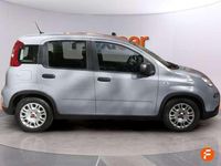 Usado Fiat Panda 71 CV (52 kW) 2023 Gris Utilitario