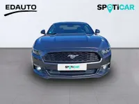 Usado Ford Mustang Fastback 314 CV (230 kW) 2016 Gris Coupe