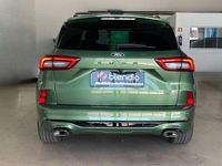 Usado Ford Kuga ST-Line X 246 CV (180 kW) 2024 Verde SUV