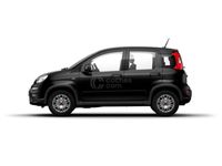 usado Fiat Panda 1.0 Gse City Live Hybrid