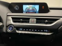 Usado Lexus UX Business Edition 184 CV (135 kW) 2021 Gris / plata SUV