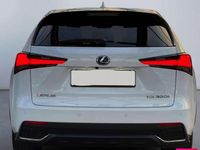 Usado Lexus NX300h Executive Line 197 CV (144 kW) 2018 Blanco SUV