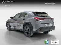 Usado Lexus UX Business Edition 183 CV (134 kW) 2021 Gris SUV