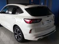 Usado Ford Kuga ST-Line X 225 CV (165 kW) 2020 Blanco SUV