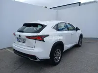 Usado Lexus NX300h Business Edition 197 CV (144 kW) 2019 Blanco SUV