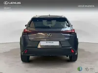 Usado Lexus UX 300h 199 CV (146 kW) 2025 Gris SUV