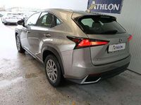Usado Lexus NX300h Business Edition 197 CV (144 kW) 2021 Gris SUV