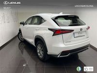 usado Lexus NX300 300h Business 2WD