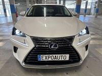 usado Lexus NX300 300h Business Navigation 2WD