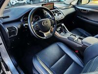 usado Lexus NX300 300h Executive Navigation 4WD