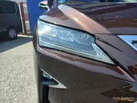 Usado Lexus RX450h Luxury Line 313 CV (230 kW) 2019 Marrón SUV