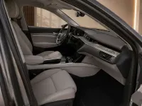 Usado Audi e-tron 300 kW (408 CV) 2019 Gris SUV