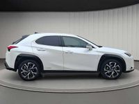 Usado Lexus UX 250h Business Edition 184 CV (135 kW) 2021 Blanco SUV