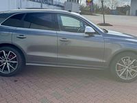 Usado Audi SQ5 Exclusive 326 CV (239 kW) 2016 Gris SUV