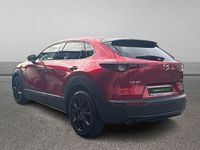 Usado Mazda CX-30 Homura-Line 150 CV (110 kW) 2022 Rojo SUV