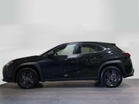 Usado Lexus UX 250h 184 CV (135 kW) 2023 SUV