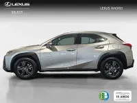 Usado Lexus UX Business Edition 184 CV (135 kW) 2019 Gris SUV