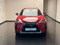 usado Lexus UX 250h Business 2WD