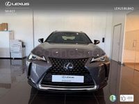 Usado Lexus UX Business Edition 184 CV (135 kW) 2022 Gris / plata SUV