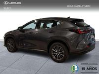Usado Lexus NX350h 242 CV (177 kW) 2024 Gris SUV