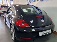 usado VW Beetle 1.6TDI Beetlemanía 105