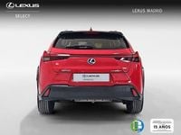 Usado Lexus UX Business Edition 184 CV (135 kW) 2022 Rojo SUV