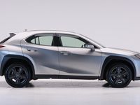 usado Lexus UX 250h BUSINESS NAVIGATION AUTO 2.5 184 5P.