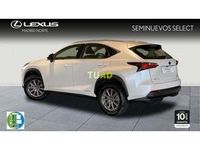 usado Lexus NX300h business navigation 2wd 145 kw (197 cv)