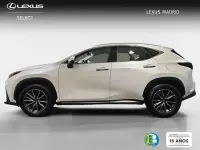 Usado Lexus NX350h Business Edition 242 CV (177 kW) 2023 Blanco