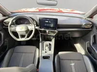 Usado Cupra Formentor 150 CV (110 kW) 2021 Rojo SUV